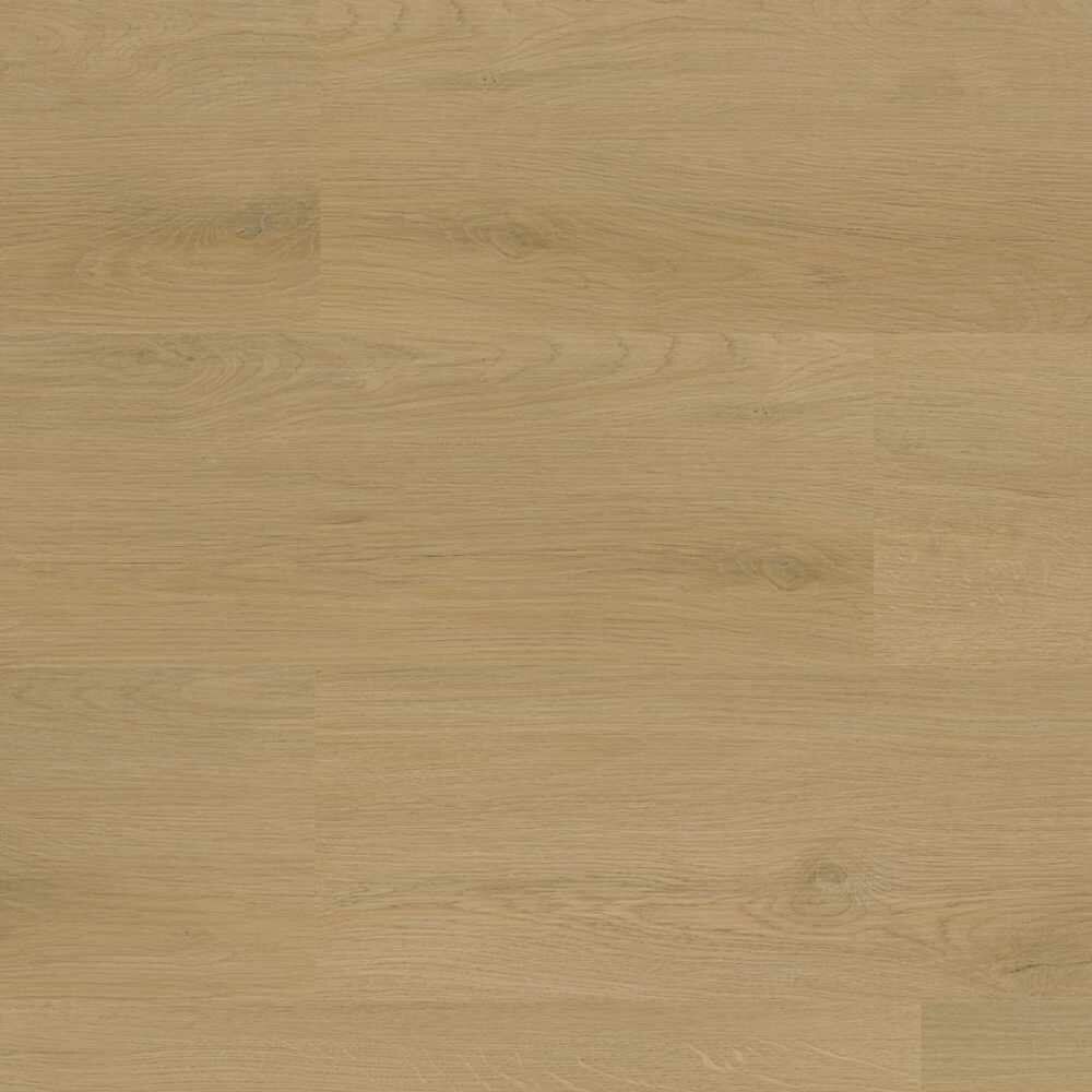 PVC dryback Patrizio